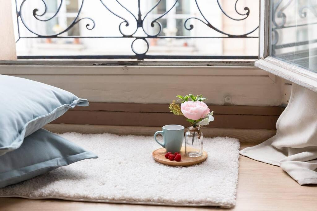 Le Lumineux 50 M² Gare/Chateau/Wifi/Netflix Versailles Eksteriør billede